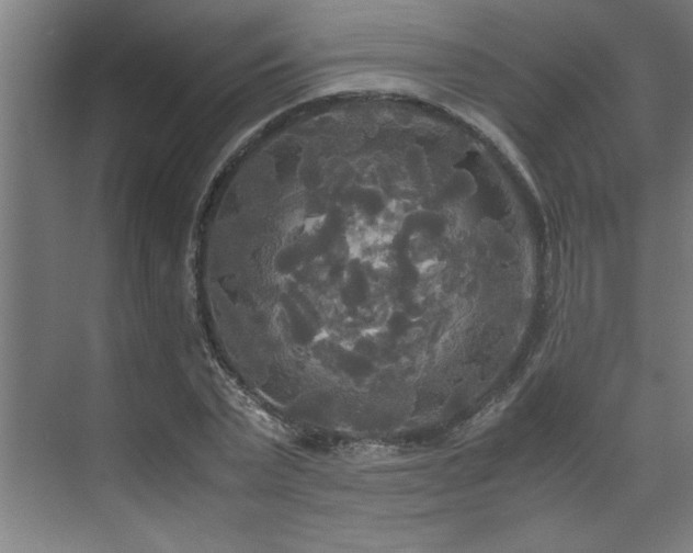 X0000072520783200607141157