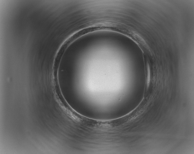 X0000072520784200607141157