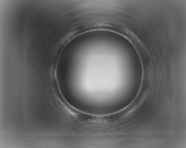 X0000072520785200607141157