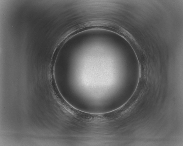 X0000072520786200607141157