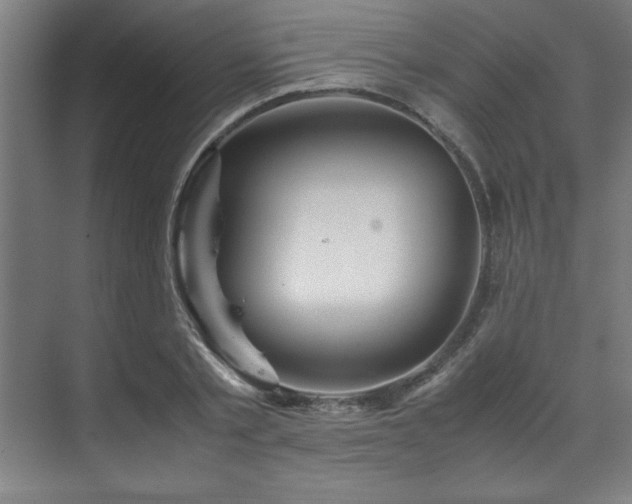 X0000072520789200607141157