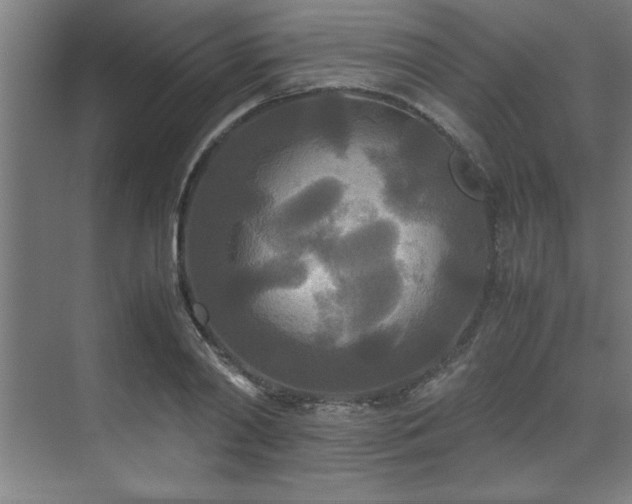 X0000072520790200607141156