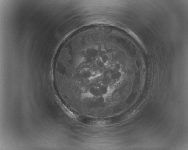 X0000072520791200607141156