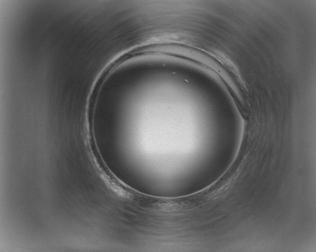 X0000072520792200607141156