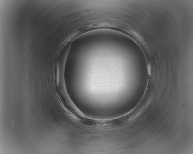 X0000072520793200607141156