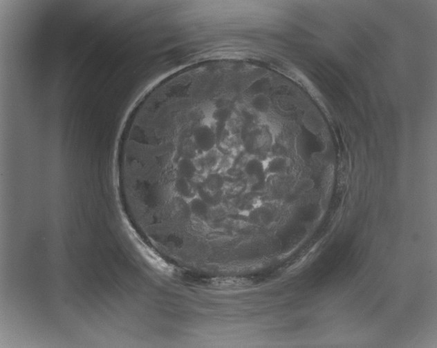 X0000072520795200607141156