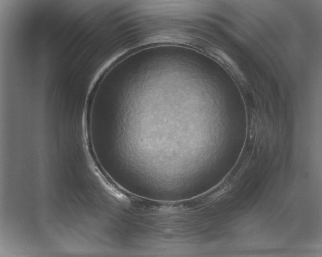 X0000072520796200607141156