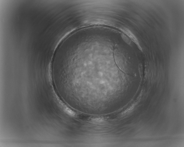 X0000072520798200607141156