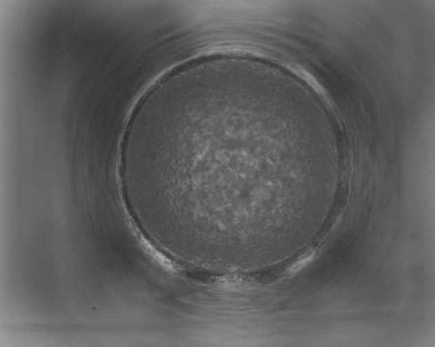 X0000072520799200607141156