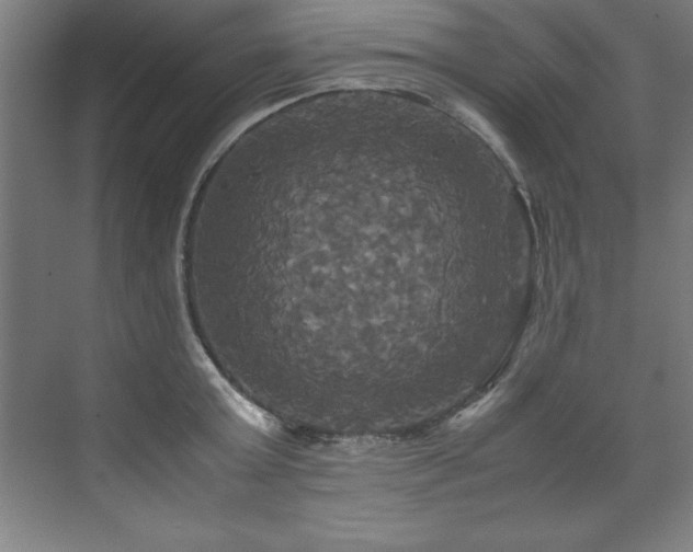 X0000072520803200607141156