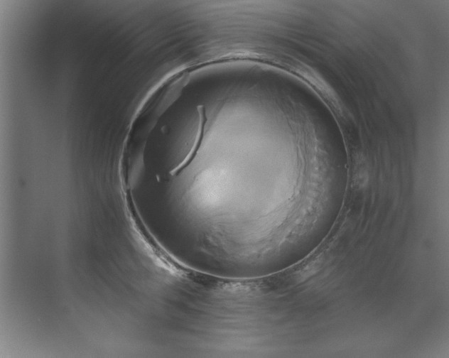 X0000072520806200607141156