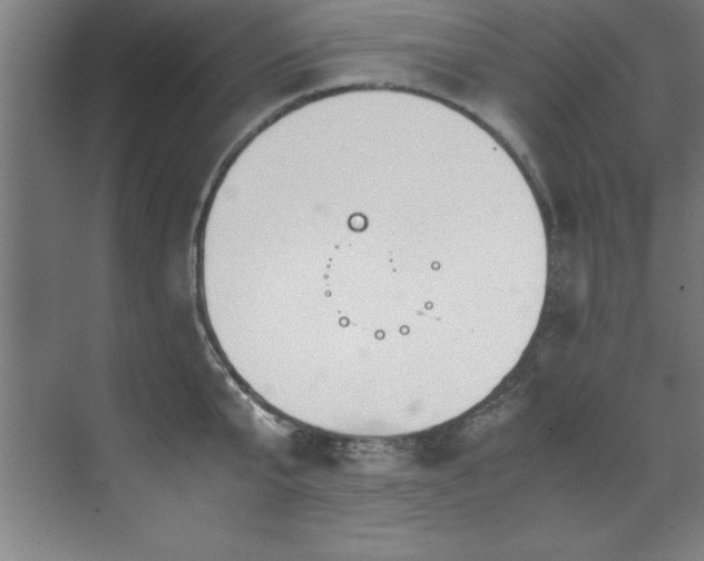 X0000072520807200607141156