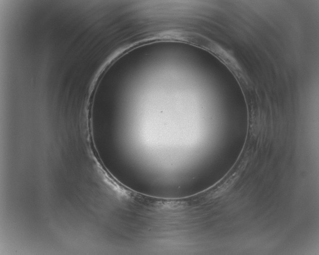 X0000072520808200607141156