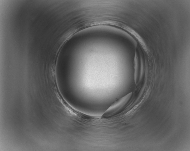 X0000072520809200607141156