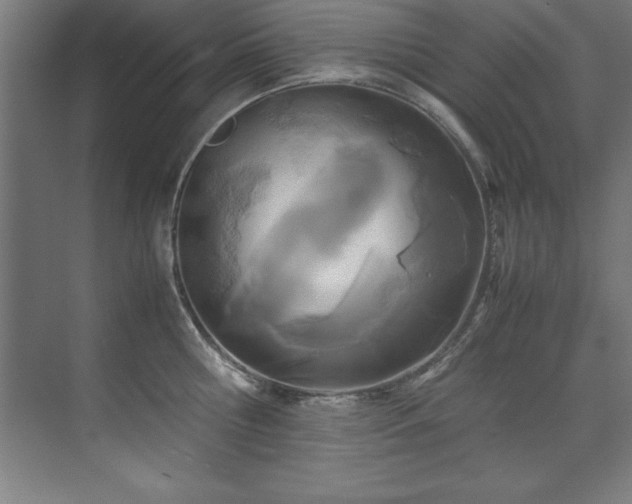 X0000072520810200607141156