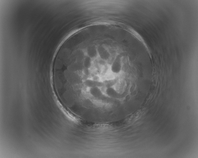 X0000072520811200607141156