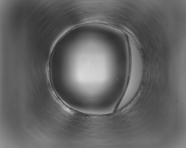 X0000072520812200607141156