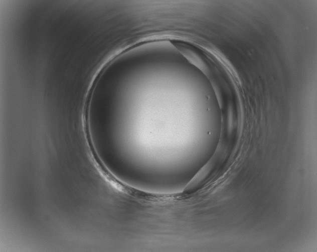 X0000072520813200607141156