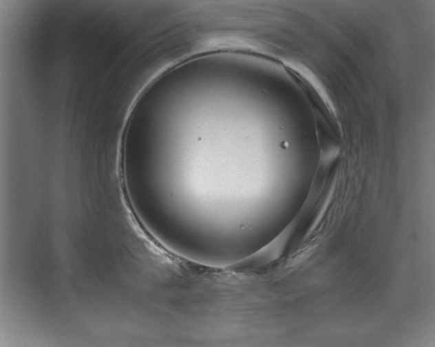 X0000072520815200607141156