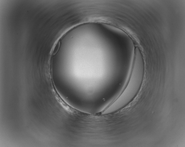 X0000072520816200607141156