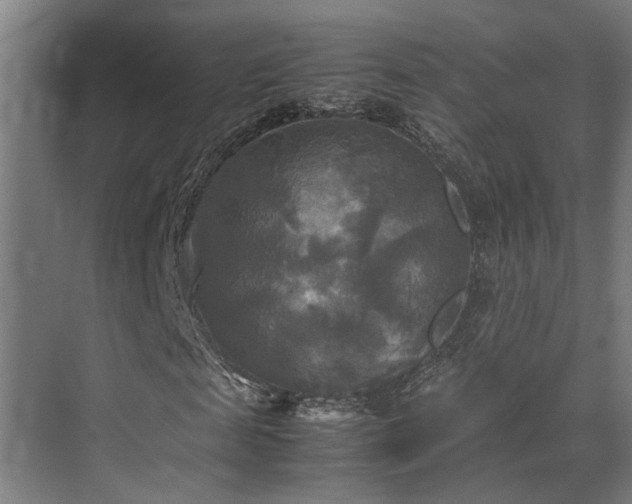 X0000072520817200607141155