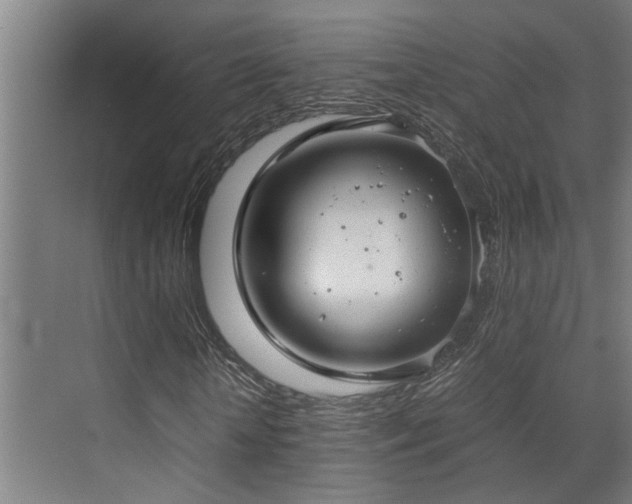 X0000072520818200607141155