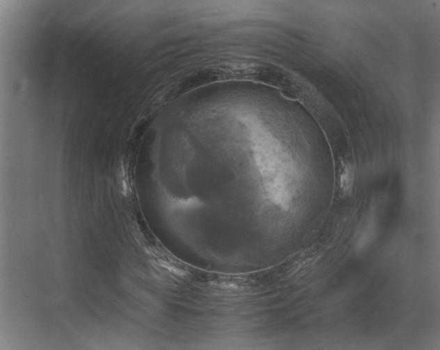 X0000072520819200607141155