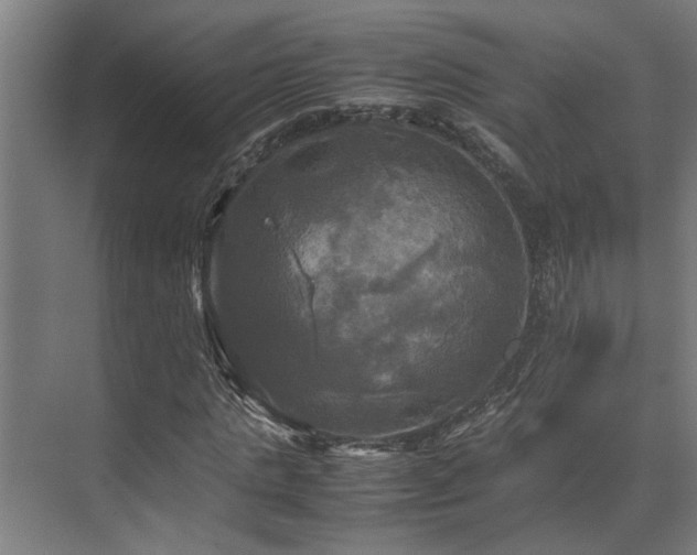 X0000072520821200607141155