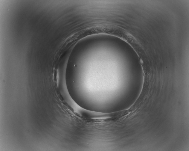 X0000072520822200607141155