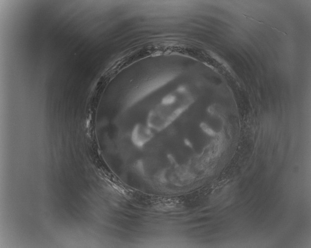 X0000072520823200607141155