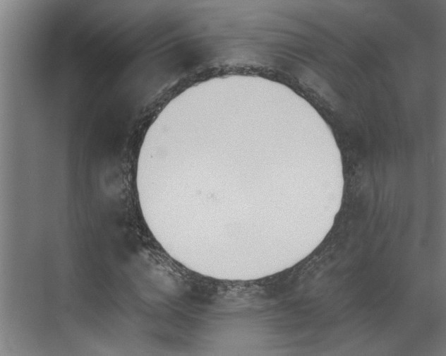 X0000072520824200607141155