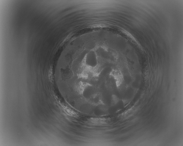 X0000072520825200607141155