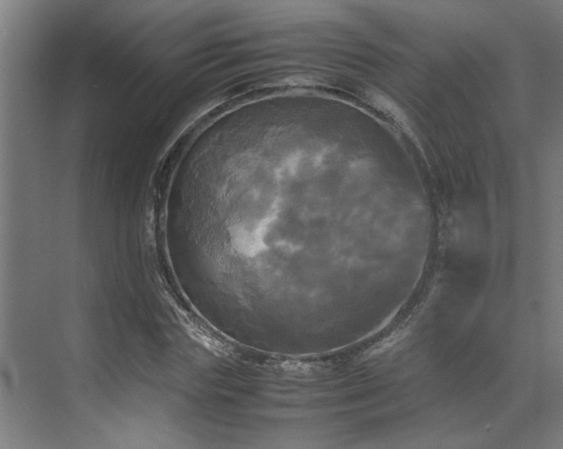 X0000072520827200607141155