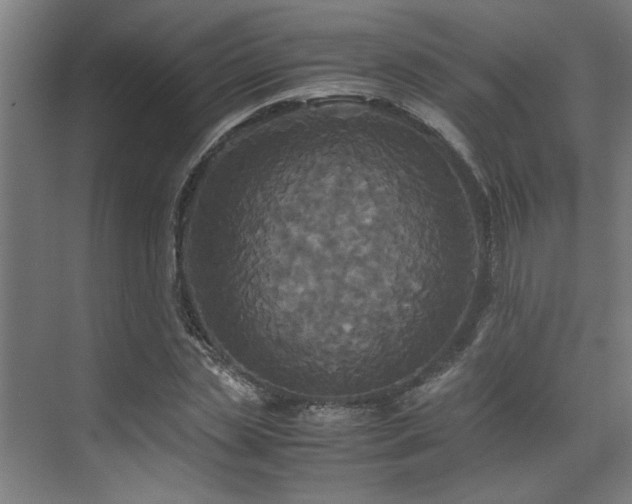 X0000072520829200607141155