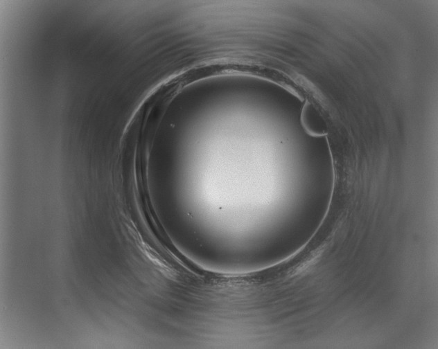 X0000072520830200607141155