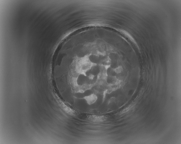 X0000072520831200607141155