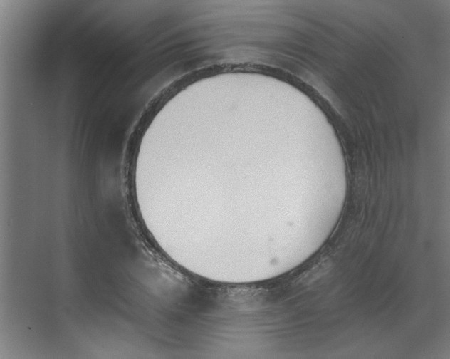 X0000072520832200607141156