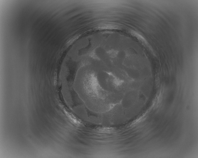 X0000072520833200607141156