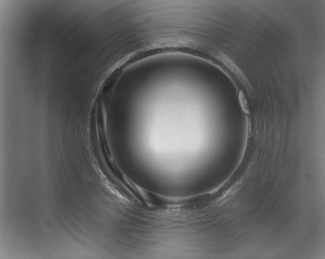 X0000072520834200607141156