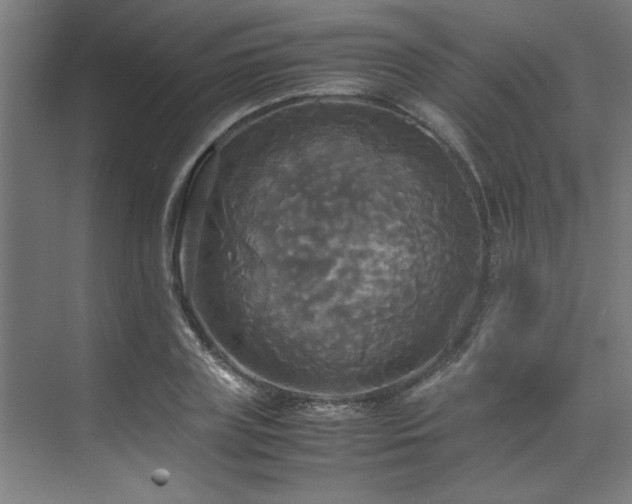 X0000072520835200607141156