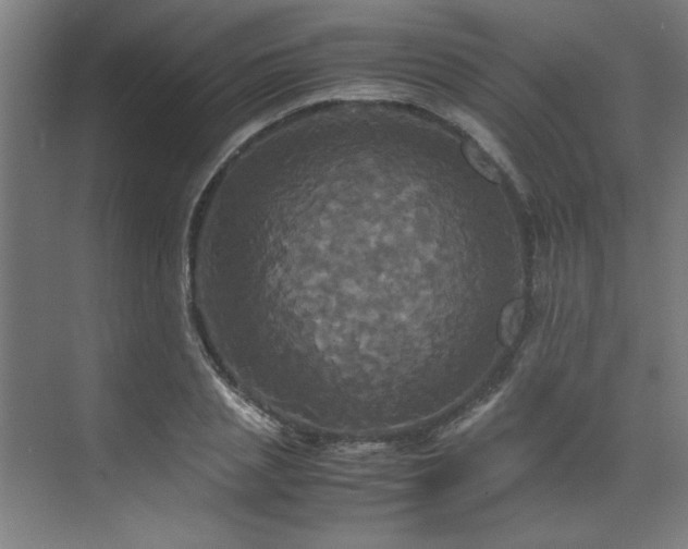 X0000072520837200607141156