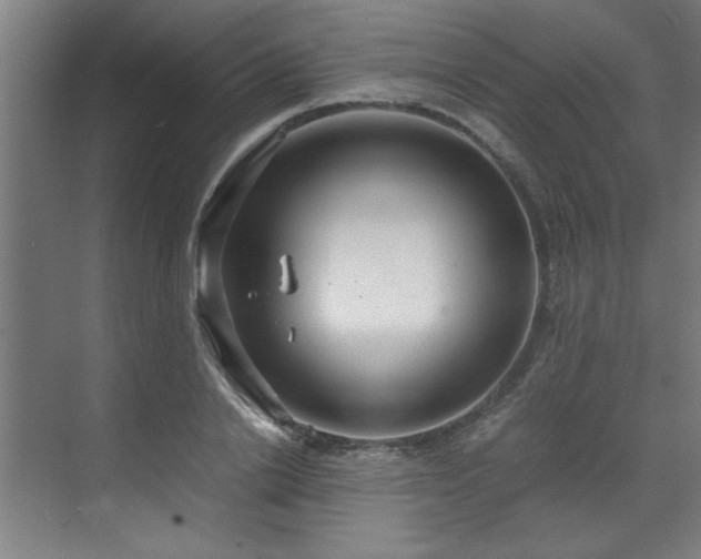 X0000072520838200607141156