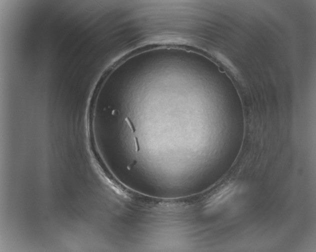 X0000072520840200607141156