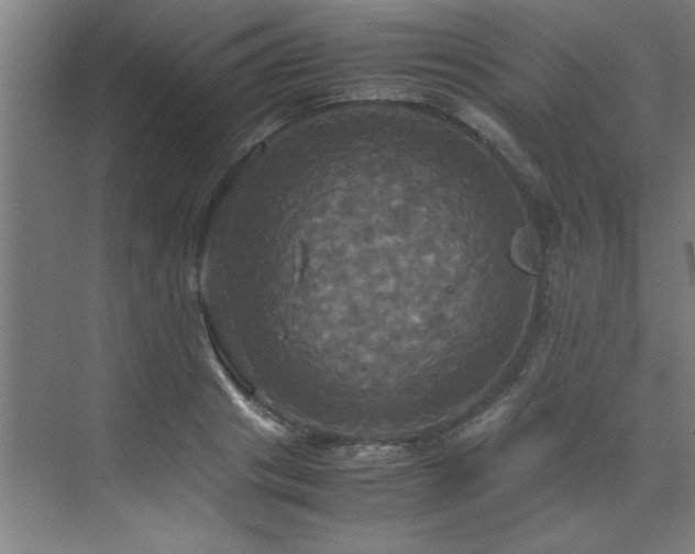 X0000072520841200607141156