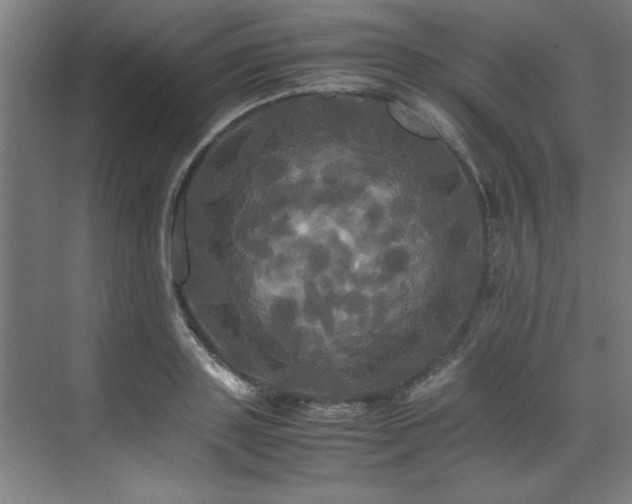 X0000072520843200607141156