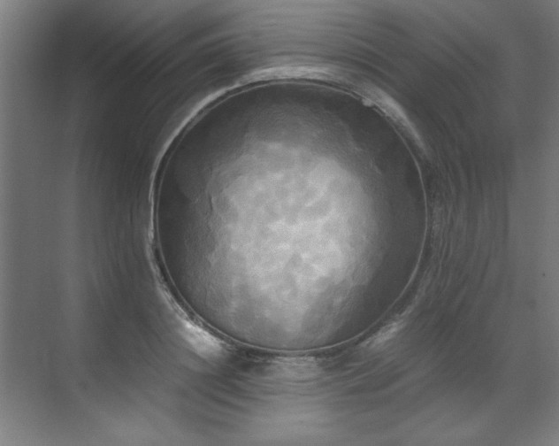 X0000072520844200607141156