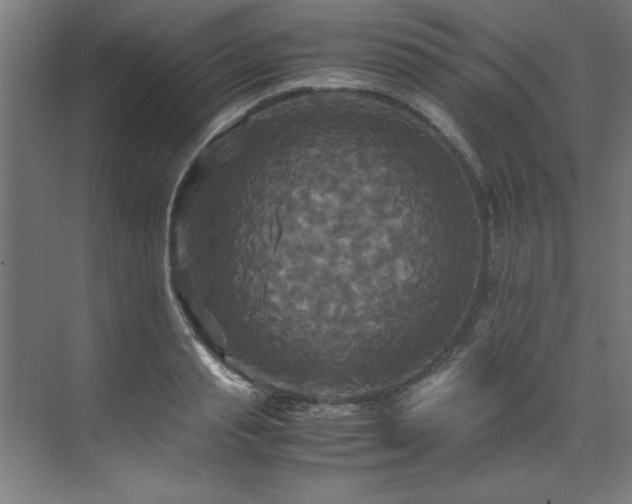 X0000072520845200607141156