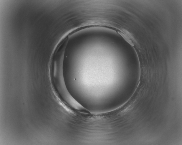 X0000072520846200607141156