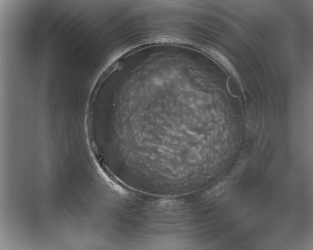 X0000072520847200607141156