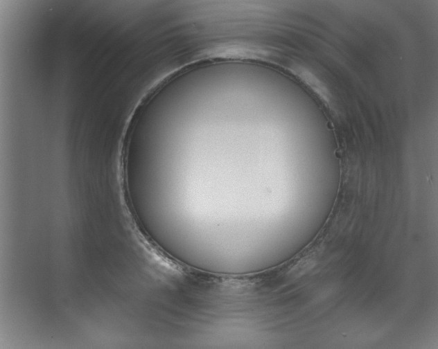 X0000072520848200607141156